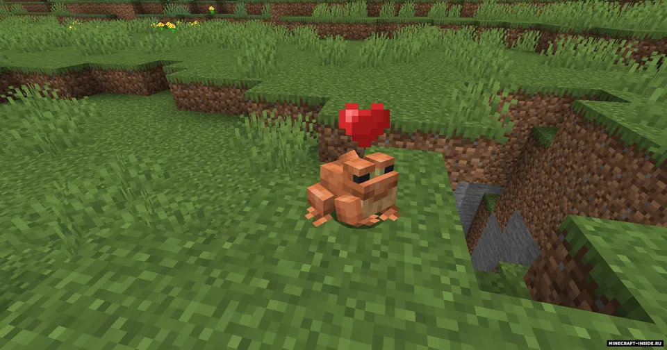 Pet the Frog — Minecraft mod, rasm 2