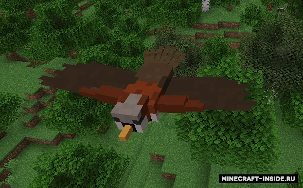 Birds — Minecraft mod, rasm 2