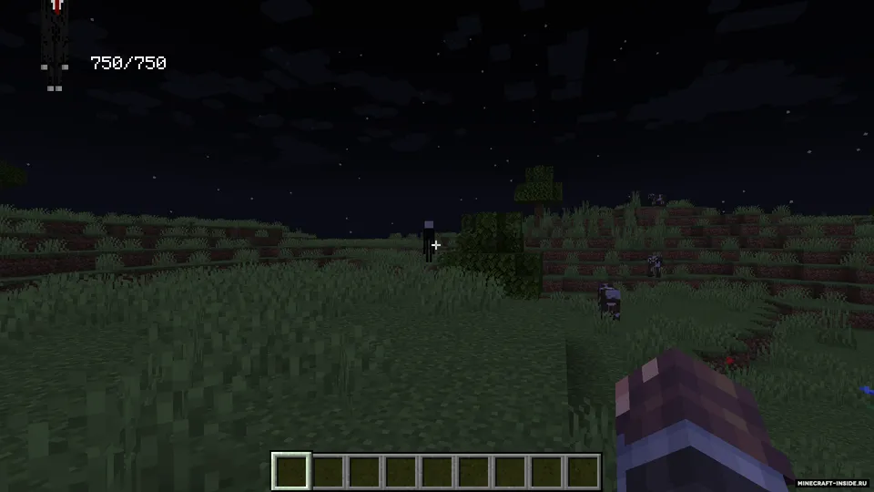 MobHealtTracker — Minecraft mod, rasm 2