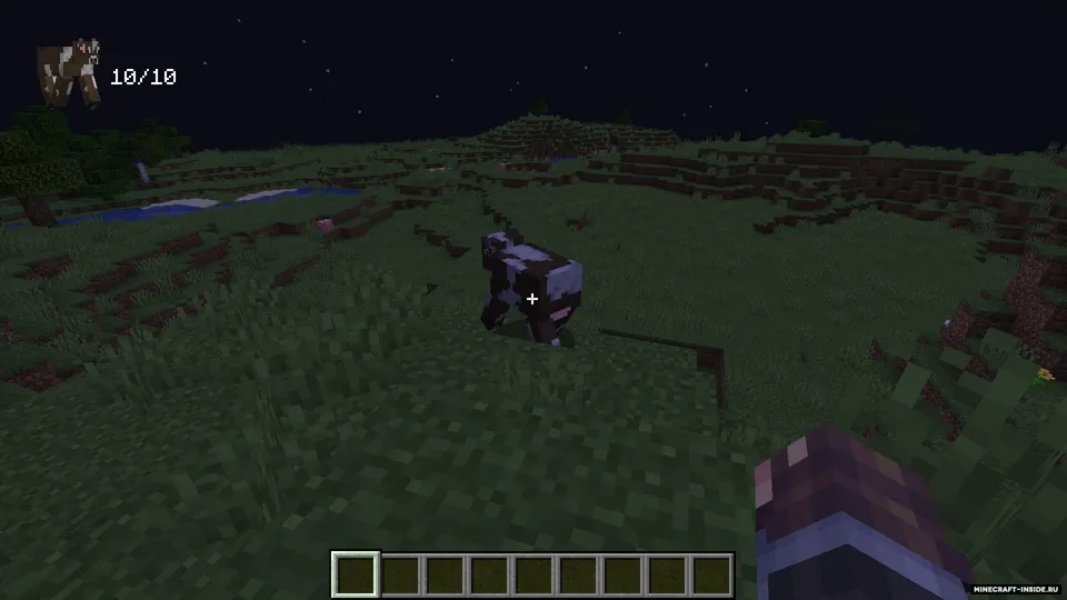 MobHealtTracker — Minecraft mod, rasm 3
