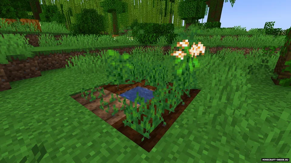 Nillachoco — Minecraft mod, rasm 6