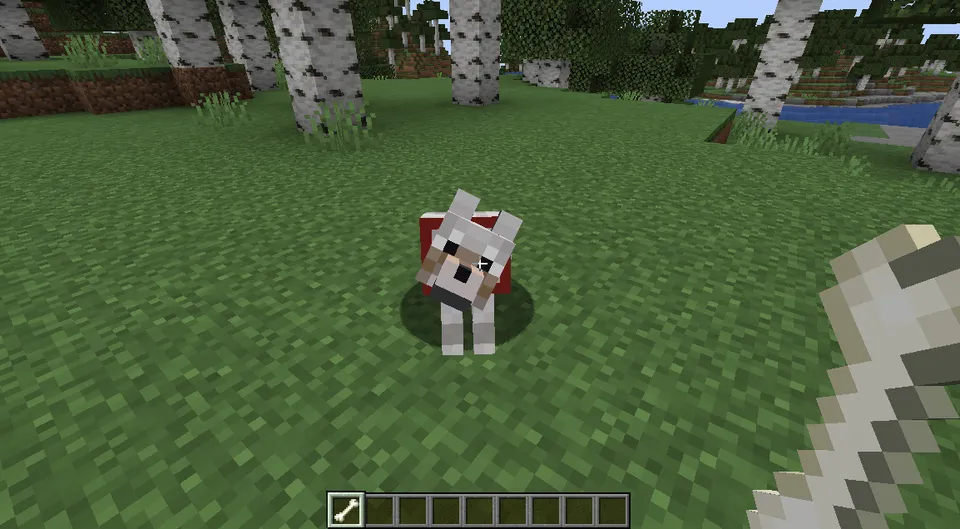 Betterpets — Minecraft mod, rasm 2