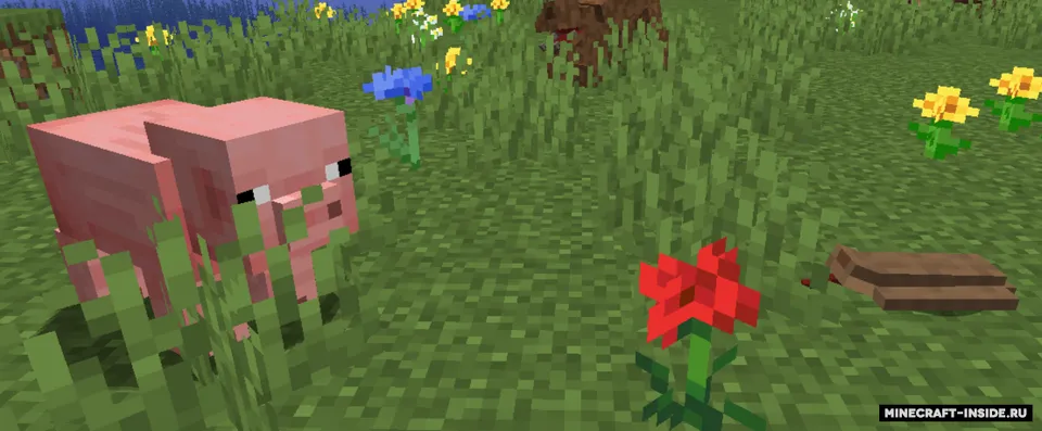 Parasite Craft — Minecraft mod, rasm 2