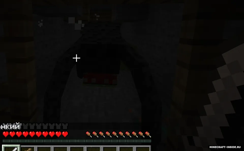 Parasite Craft — Minecraft mod, rasm 4