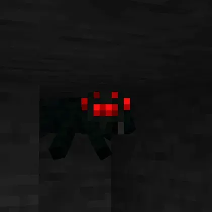 Cave Spider Spawn