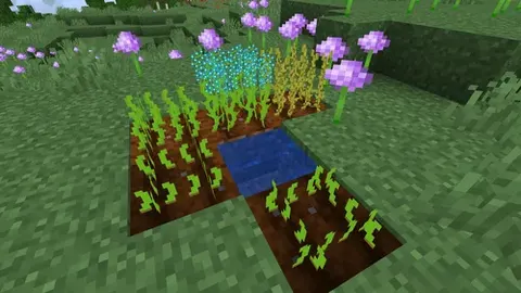 Flax!