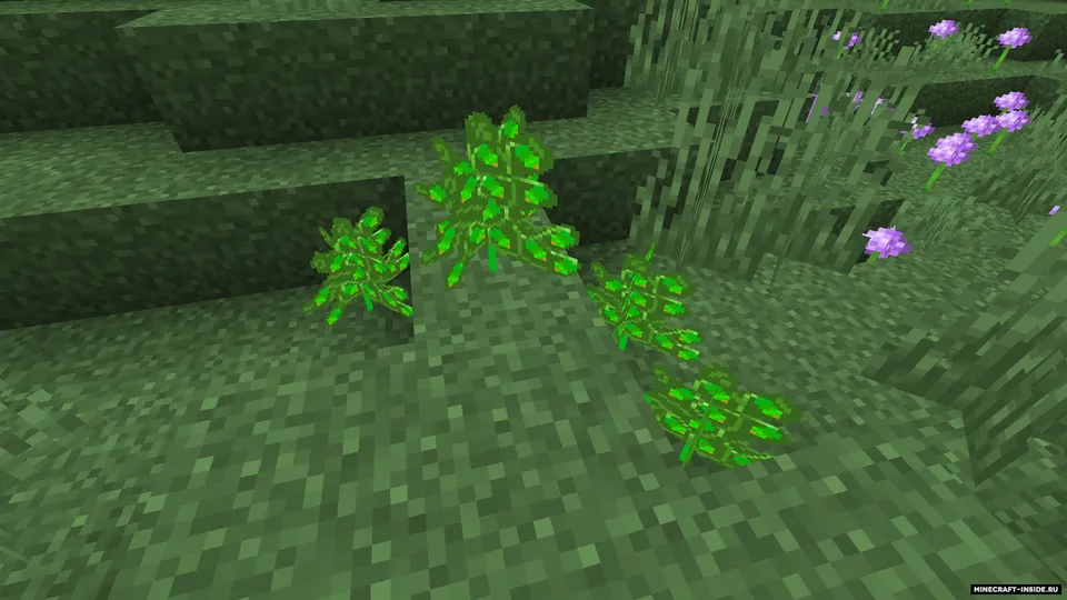 Flax! — Minecraft mod, rasm 3