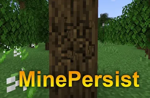 MinePersist