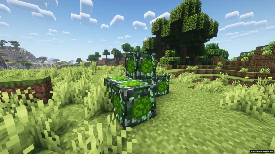 TotemsMOD — Minecraft mod, rasm 2