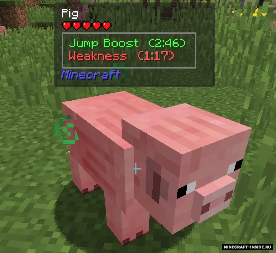 Jade — Minecraft mod, rasm 4