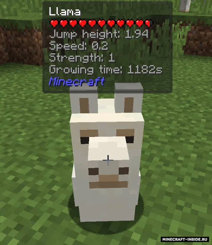 Jade — Minecraft mod, rasm 5