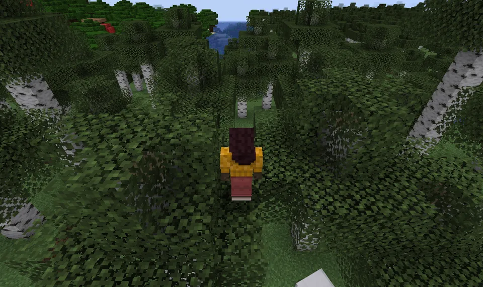Perspective — Minecraft mod, rasm 4