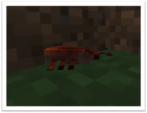 Cockroach
