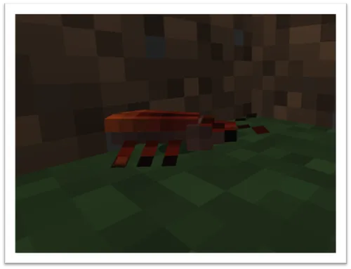 Cockroach — Minecraft mod, rasm 1