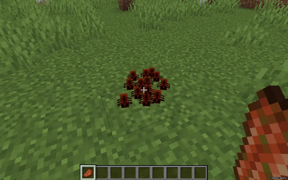 Cockroach — Minecraft mod, rasm 2