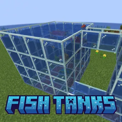 Fish Tanks