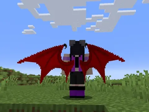 Elegant Elytras
