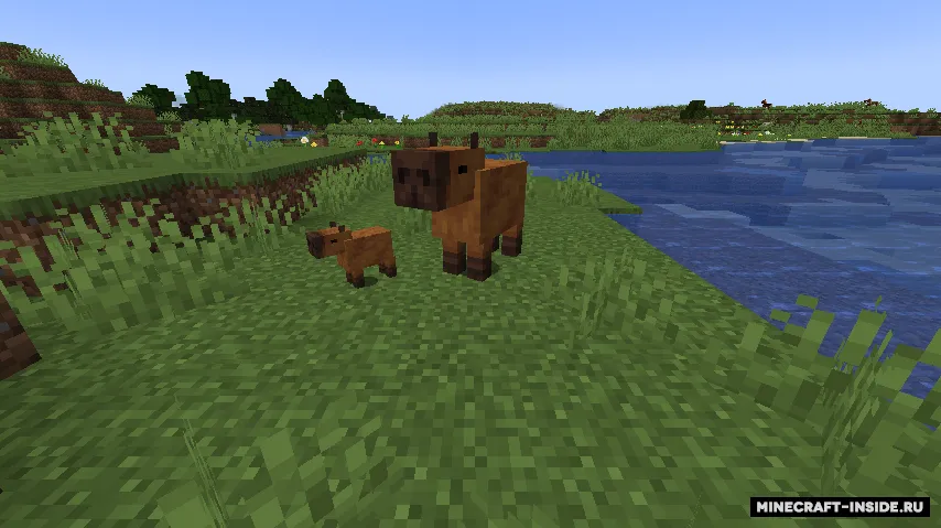 Zoo Architect — Minecraft mod, rasm 2