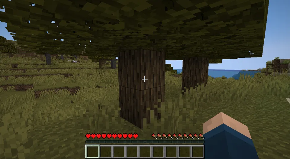 Randomizer — Minecraft mod, rasm 2