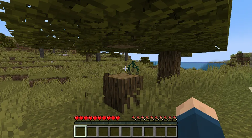 Randomizer — Minecraft mod, rasm 3