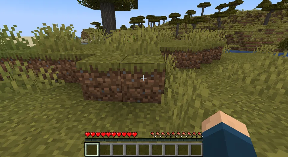 Randomizer — Minecraft mod, rasm 4