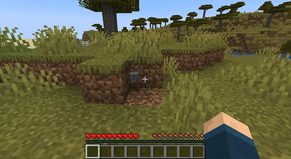 Randomizer — Minecraft mod, rasm 5