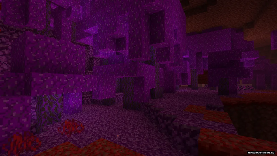 Nether Update Expanded — Minecraft mod, rasm 5