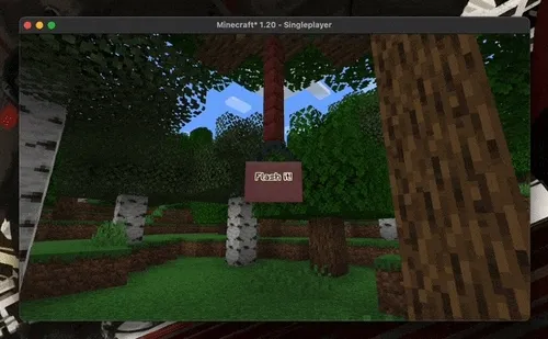 Flash — Minecraft mod, rasm 1