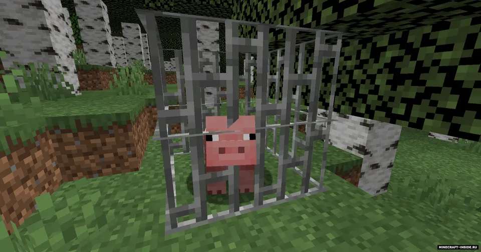 Evolved Traps — Minecraft mod, rasm 3