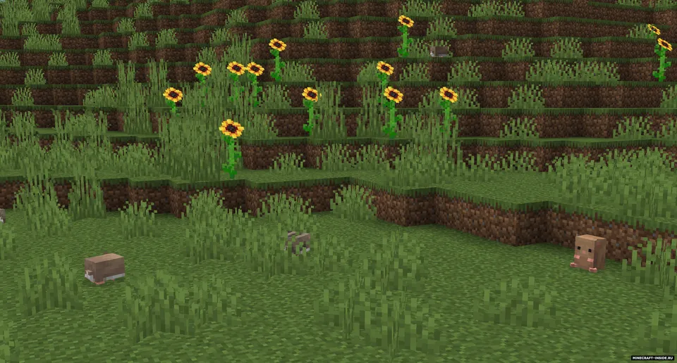 Spawn. — Minecraft mod, rasm 3