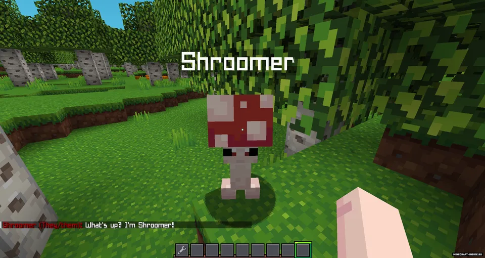 Neighborly — Minecraft mod, rasm 5