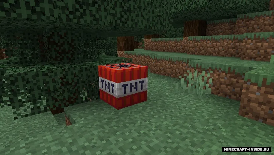 Explosion't — Minecraft mod, rasm 2