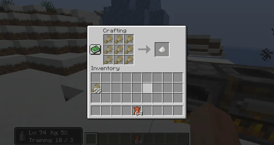 Heavy Inventory — Minecraft mod, rasm 7