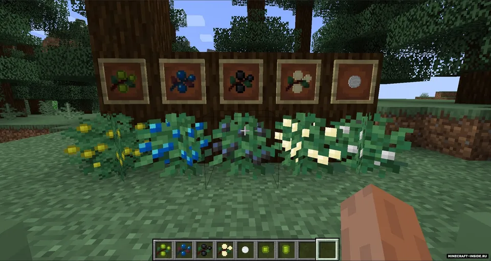 More Bushes — Minecraft mod, rasm 2
