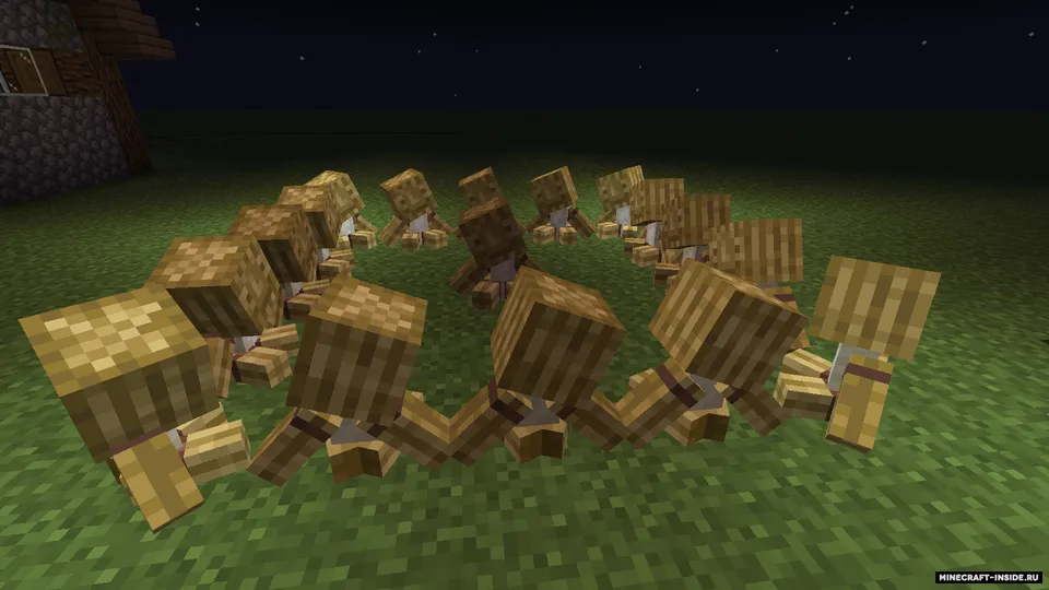 Evoodooers — Minecraft mod, rasm 4