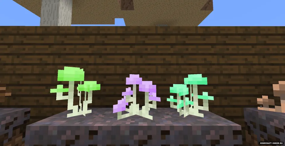 Fantasy World: Mushroom Islands — Minecraft mod, rasm 4