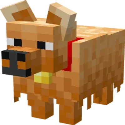 All Bark, All Bite
