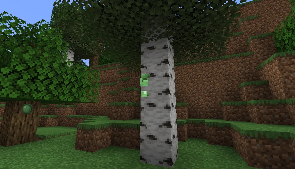ThrowableSlimeball — Minecraft mod, rasm 2
