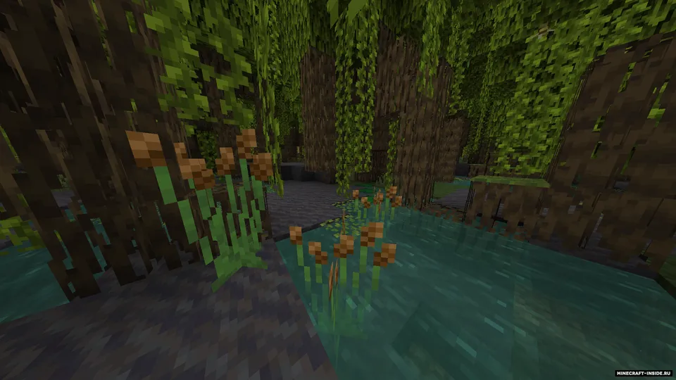 Swampex — Minecraft mod, rasm 3