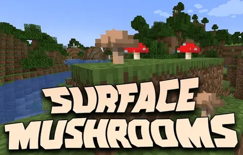 Surface Mushrooms