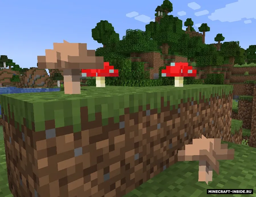 Surface Mushrooms — Minecraft mod, rasm 2