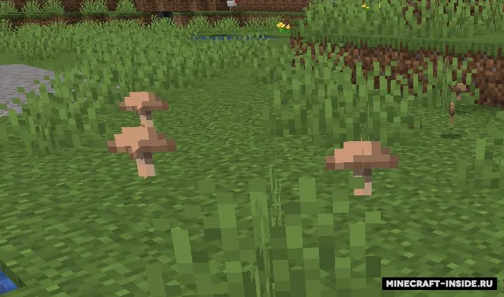 Surface Mushrooms — Minecraft mod, rasm 3