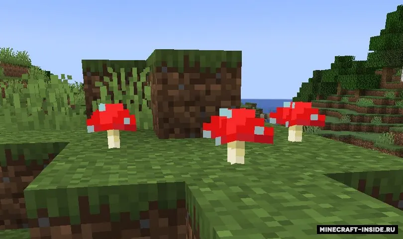 Surface Mushrooms — Minecraft mod, rasm 4