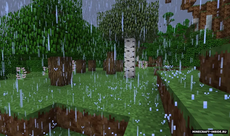 Dynamic Surroundings — Minecraft mod, rasm 4