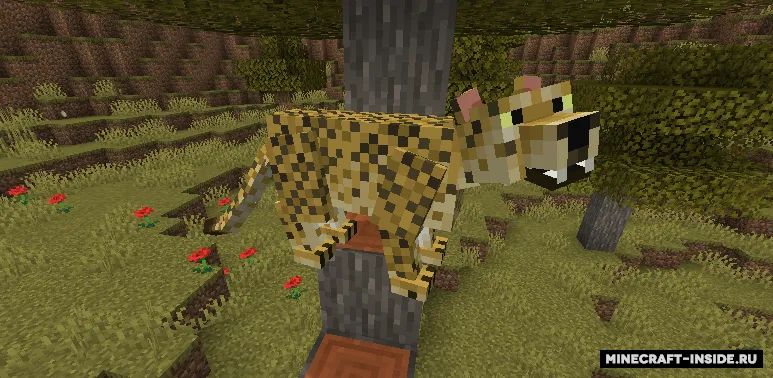 Untamed Wilds — Minecraft mod, rasm 4