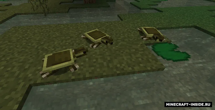 Untamed Wilds — Minecraft mod, rasm 7