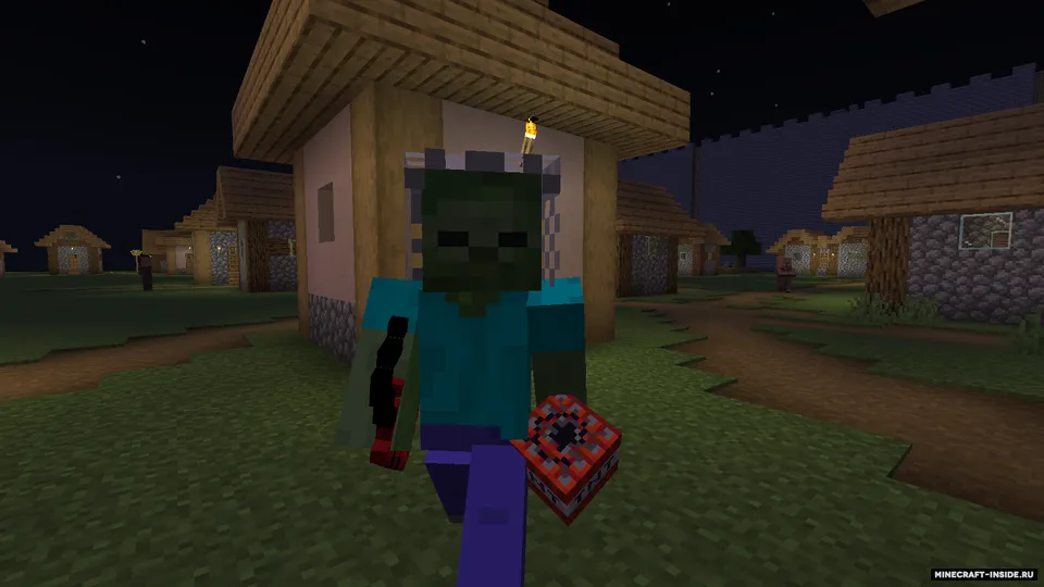 Rotting — Minecraft mod, rasm 2