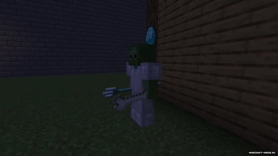 Rotting — Minecraft mod, rasm 6