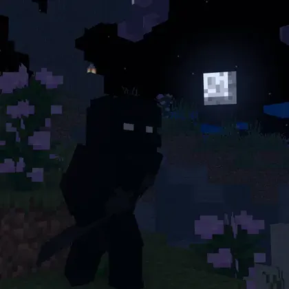 Ninja Craft