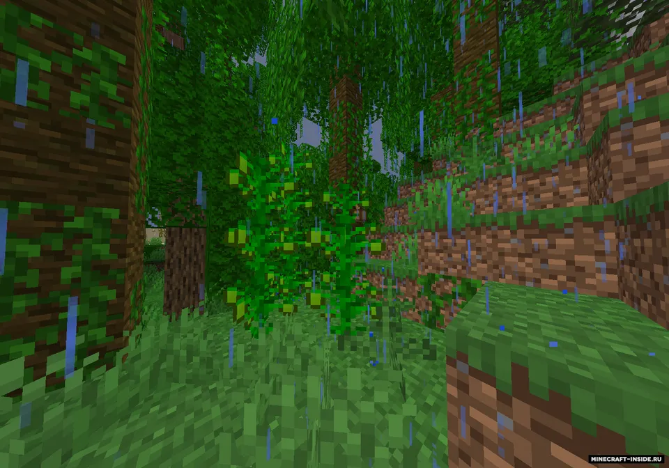 Soft Drink — Minecraft mod, rasm 2